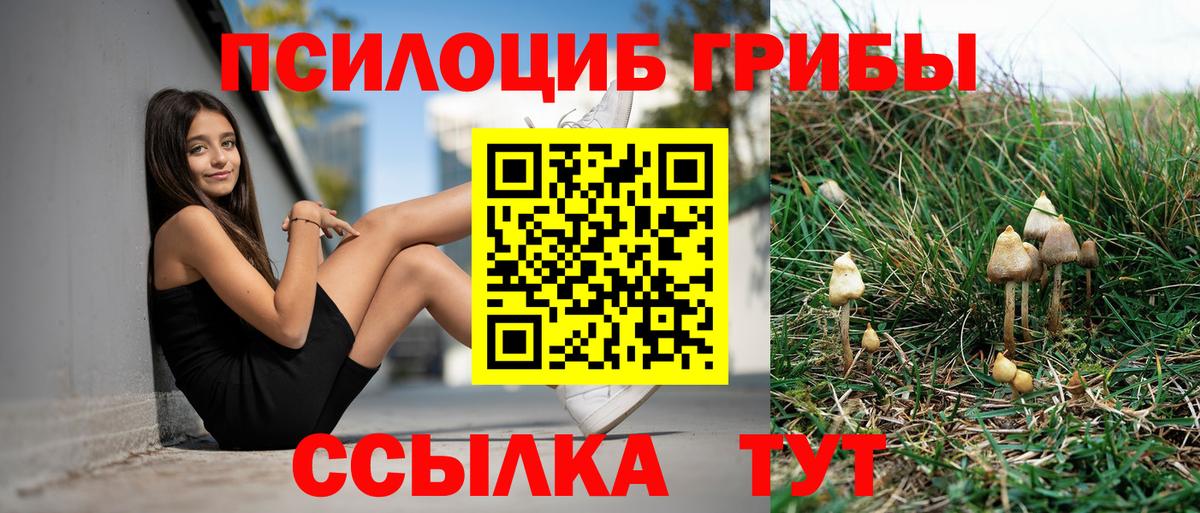 Галлюциногенные грибы GOLDEN TEACHER Лесозаводск