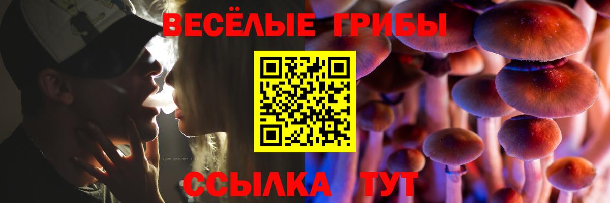 закладка  Псилоцибиновые грибы MAGIC MUSHROOMS  Вход с VPN  Лесозаводск  Псилоцибиновые грибы ЛСД 